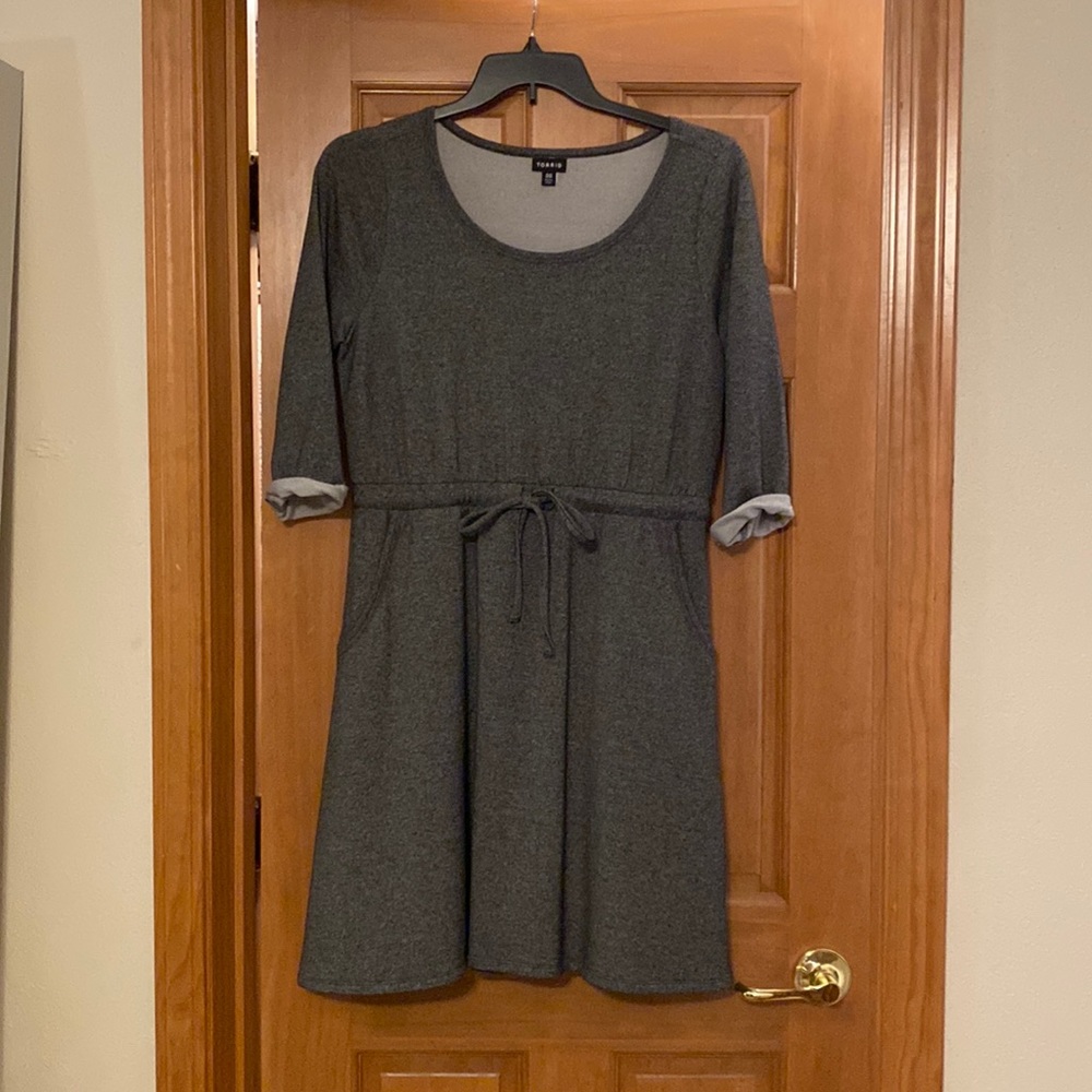 Torrid skater dress